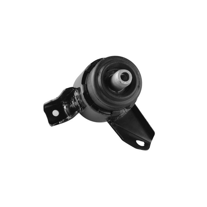 Variklio montavimas TEDGUM 00390515