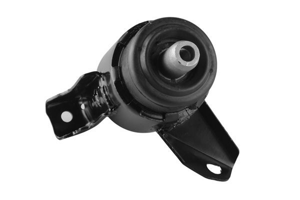 Variklio montavimas TEDGUM 00390515