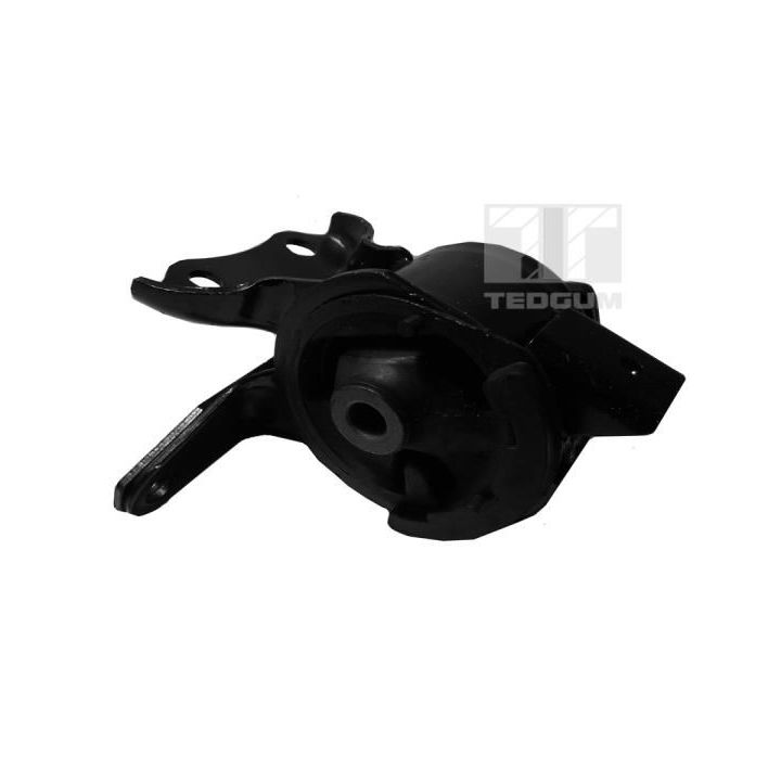 Variklio montavimas TEDGUM 00391336