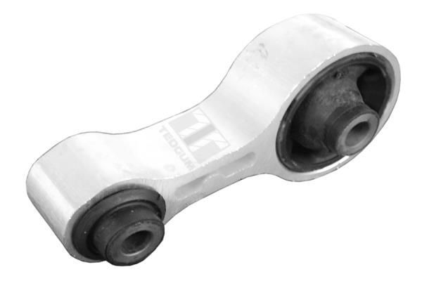 Variklio montavimas TEDGUM 00391337