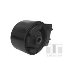 Variklio montavimas TEDGUM 00391606
