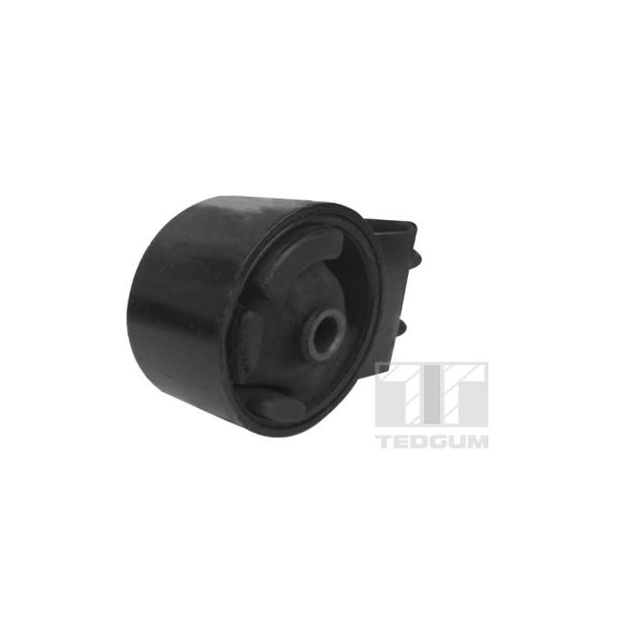 Variklio montavimas TEDGUM 00391606