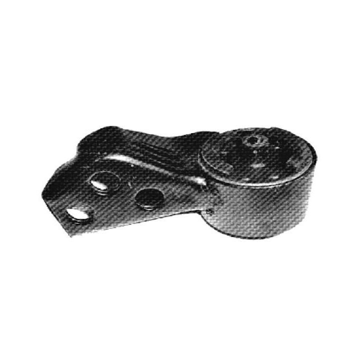 Variklio montavimas TEDGUM 00391611