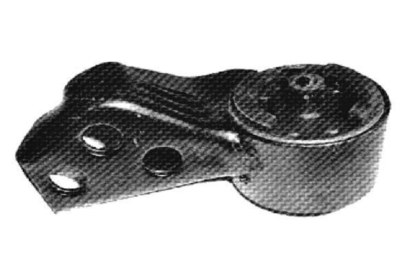 Variklio montavimas TEDGUM 00391611