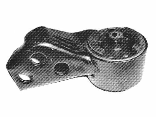 Variklio montavimas TEDGUM 00391611