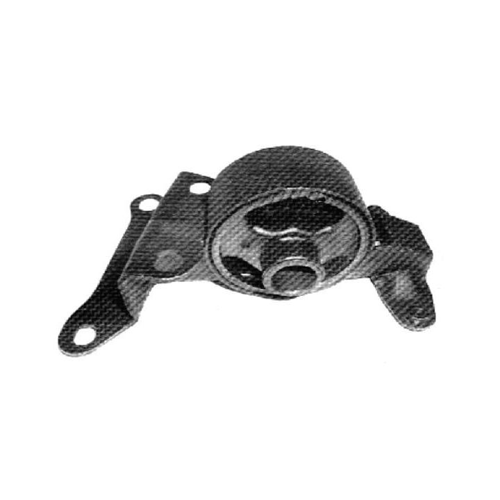 Variklio montavimas TEDGUM 00391630