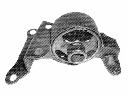 Variklio montavimas TEDGUM 00391630