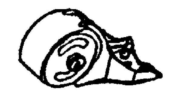 Variklio montavimas TEDGUM 00391635