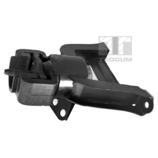 Variklio montavimas TEDGUM 00391636