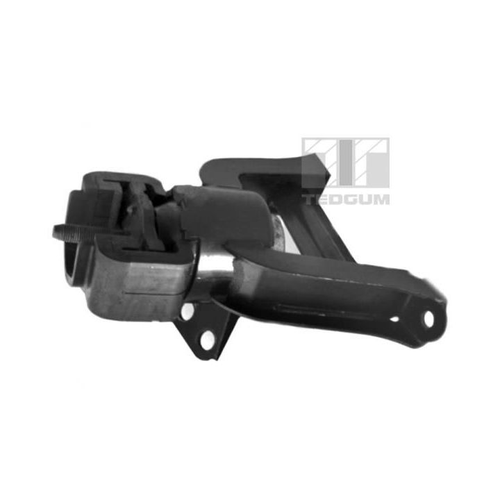 Variklio montavimas TEDGUM 00391636