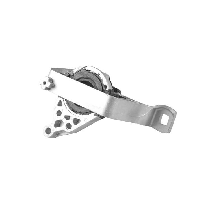 Variklio montavimas TEDGUM 00391638