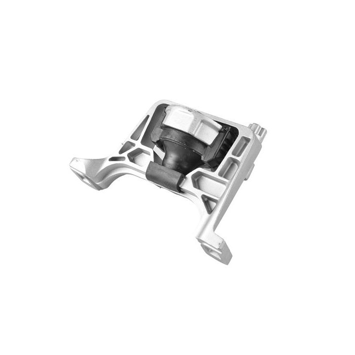 Variklio montavimas TEDGUM 00391638