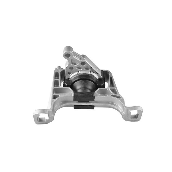 Variklio montavimas TEDGUM 00391638