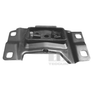 Variklio montavimas TEDGUM 00391641