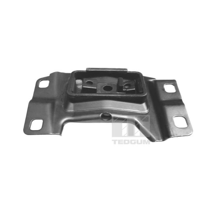 Variklio montavimas TEDGUM 00391641