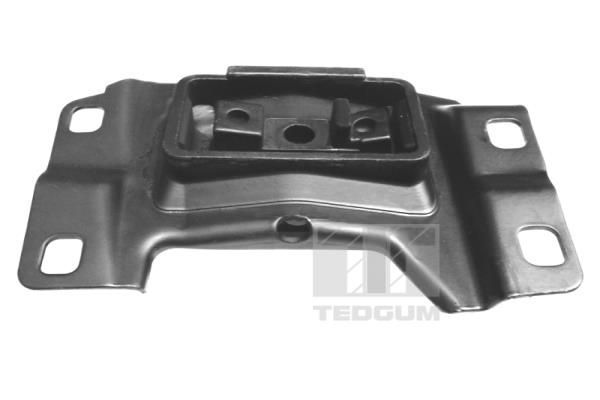 Variklio montavimas TEDGUM 00391641