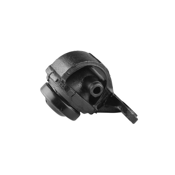 Variklio montavimas TEDGUM 00391645