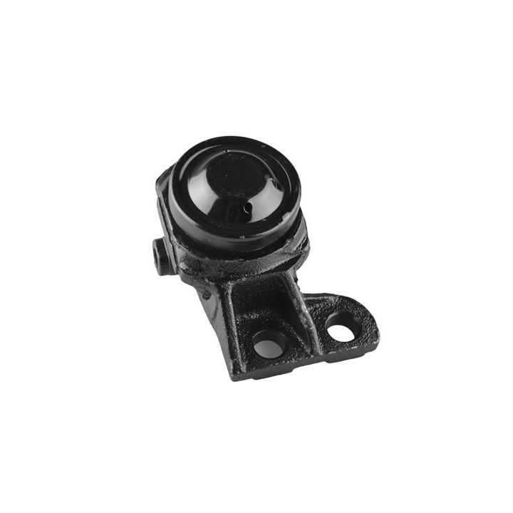 Variklio montavimas TEDGUM 00391645