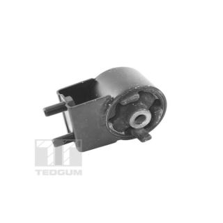 Variklio montavimas TEDGUM 00391653