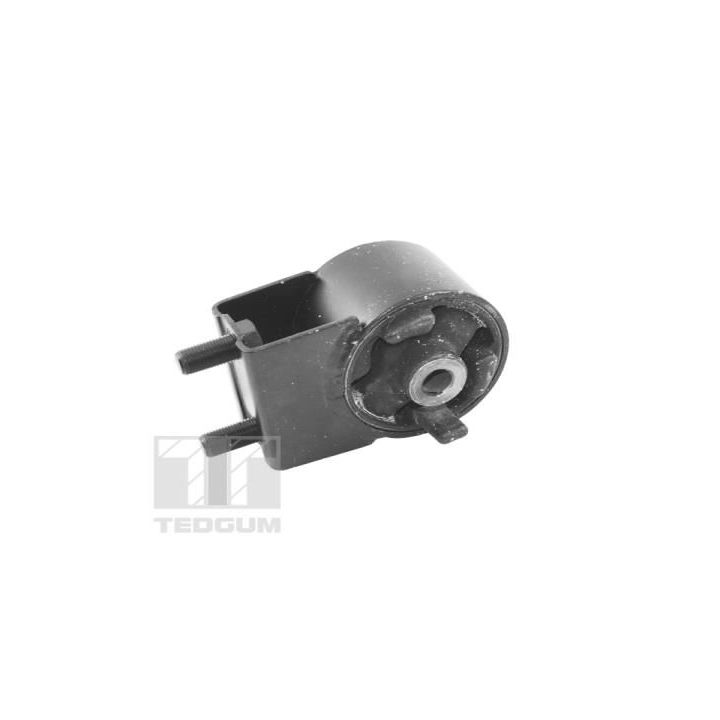 Variklio montavimas TEDGUM 00391653