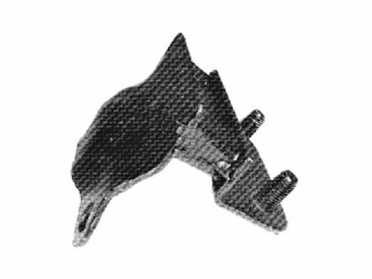 Variklio montavimas TEDGUM 00391655