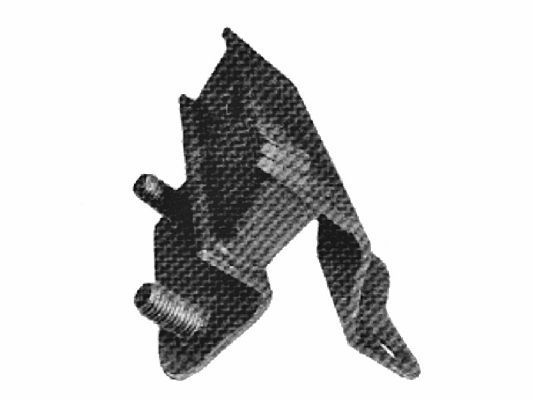 Variklio montavimas TEDGUM 00391659