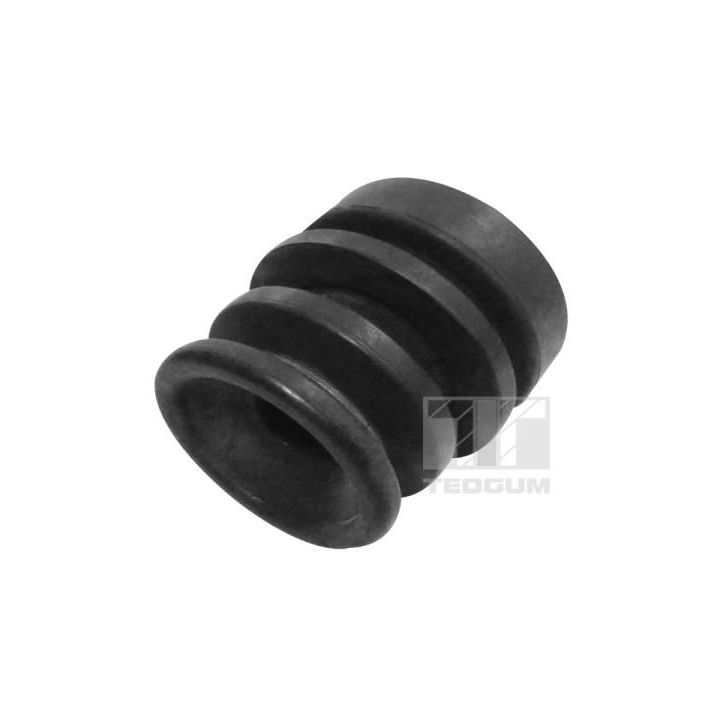 Variklio montavimas TEDGUM 00392140