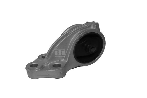 Variklio montavimas TEDGUM 00392491