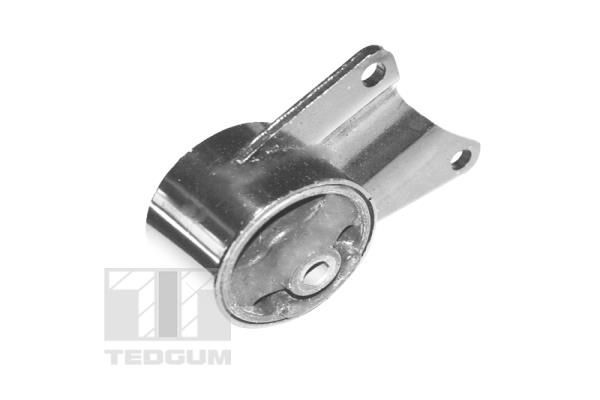 Variklio montavimas TEDGUM 00392587