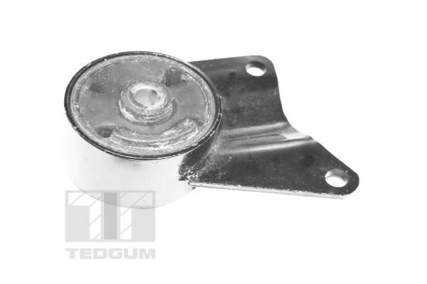 Variklio montavimas TEDGUM 00392587