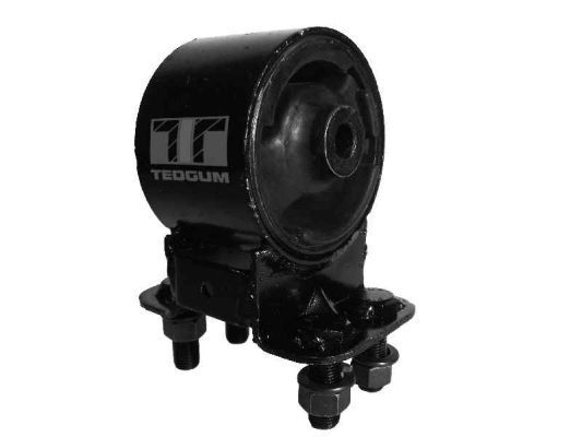 Variklio montavimas TEDGUM 00393384