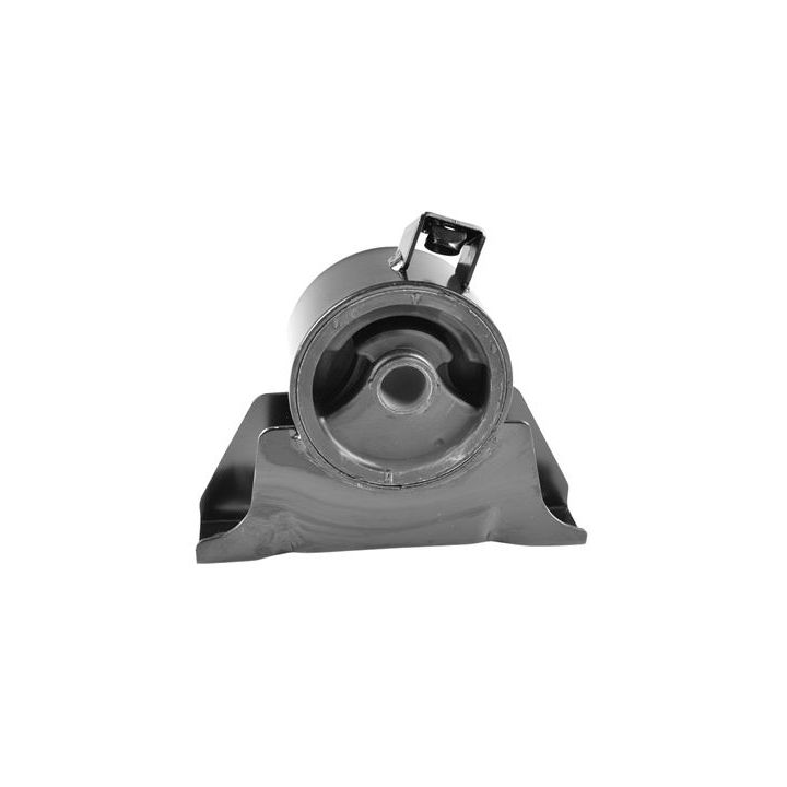 Variklio montavimas TEDGUM 00393484