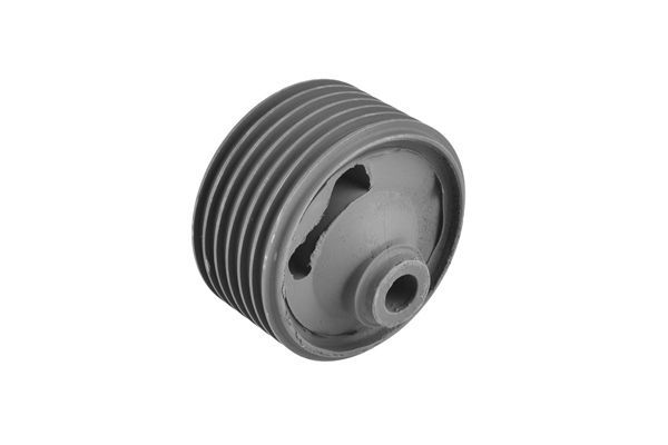 Variklio montavimas TEDGUM 00393517