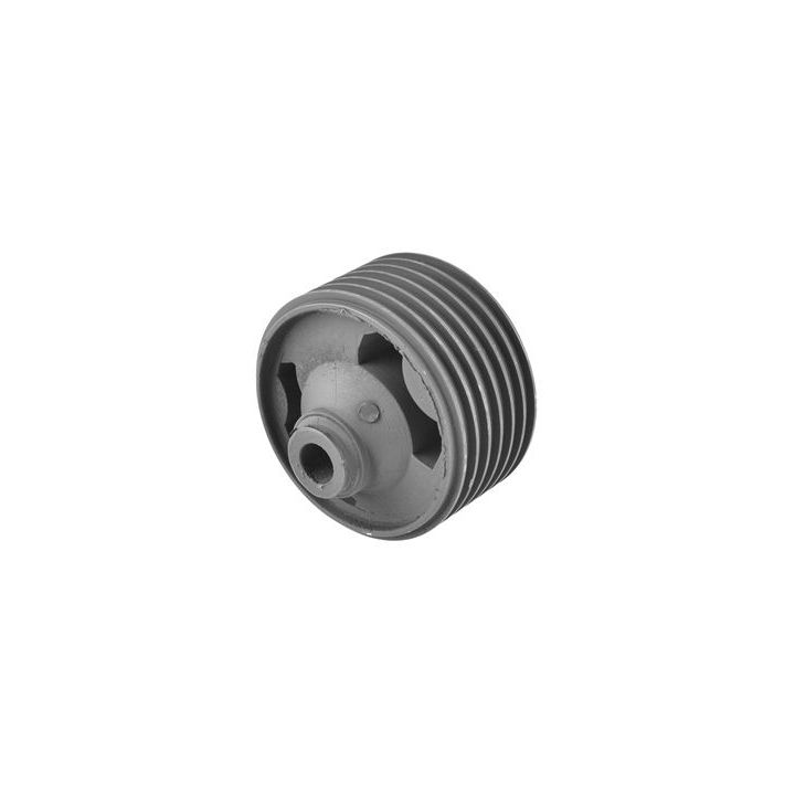 Variklio montavimas TEDGUM 00393517