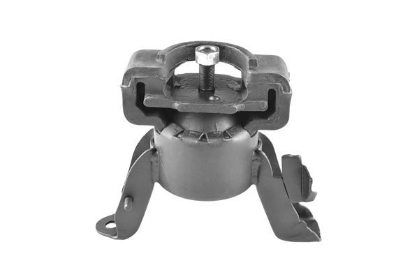 Variklio montavimas TEDGUM 00393524