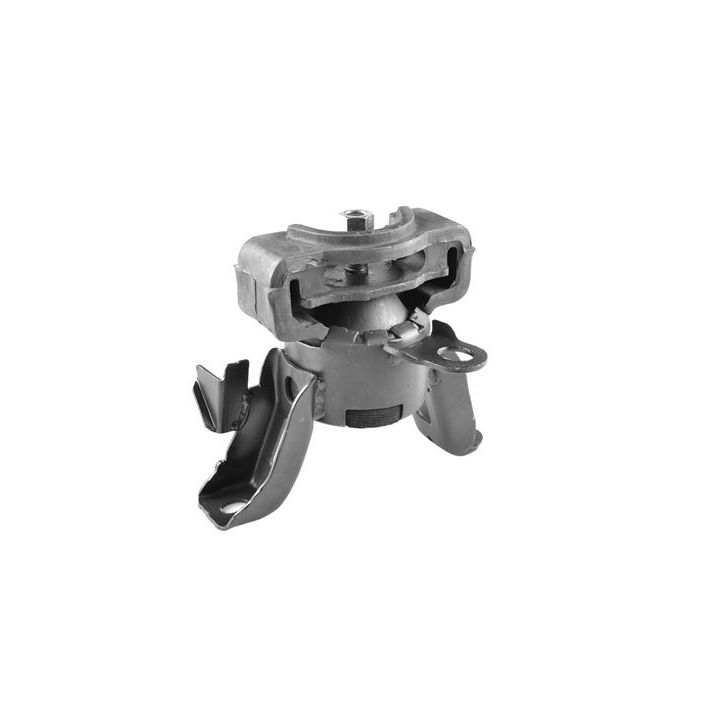 Variklio montavimas TEDGUM 00393524