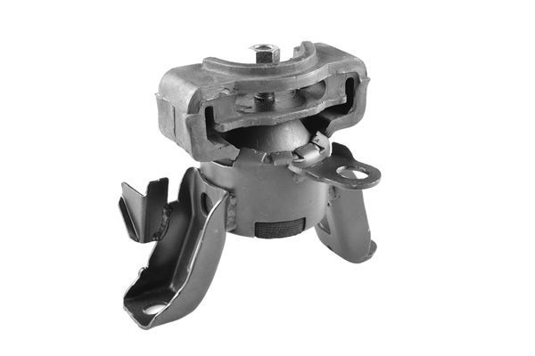 Variklio montavimas TEDGUM 00393524