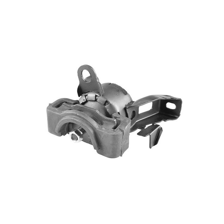 Variklio montavimas TEDGUM 00393524