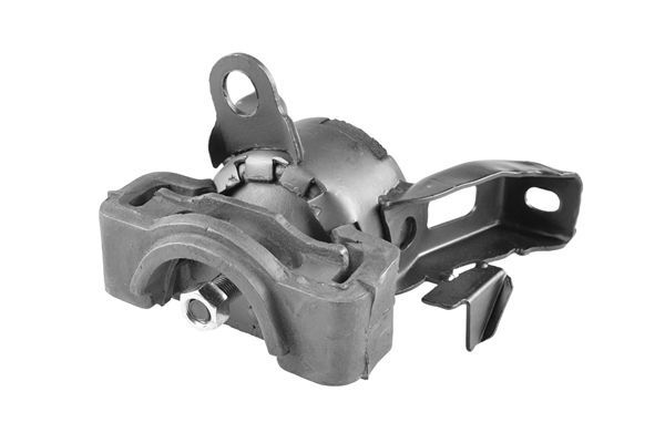 Variklio montavimas TEDGUM 00393524