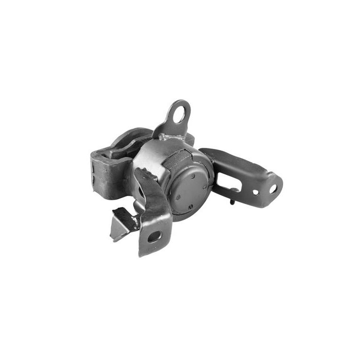 Variklio montavimas TEDGUM 00393524