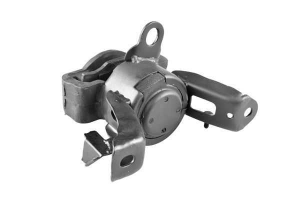 Variklio montavimas TEDGUM 00393524