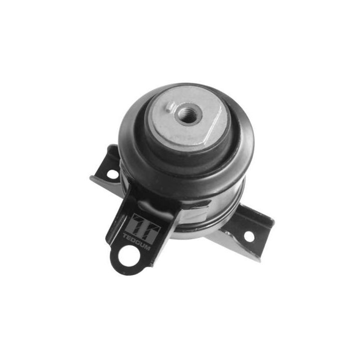 Variklio montavimas TEDGUM 00393612