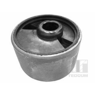 Variklio montavimas TEDGUM 00394237