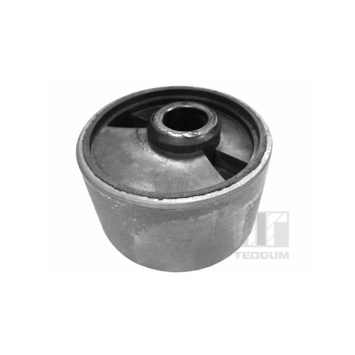 Variklio montavimas TEDGUM 00394237