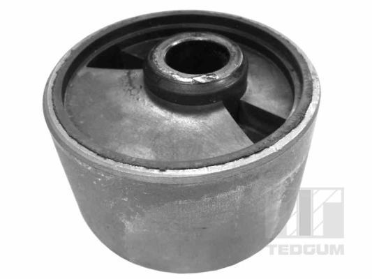 Variklio montavimas TEDGUM 00394237