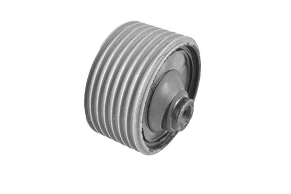 Variklio montavimas TEDGUM 00394894