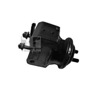 Variklio montavimas TEDGUM 00395114