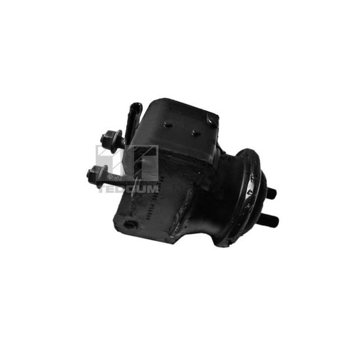 Variklio montavimas TEDGUM 00395114