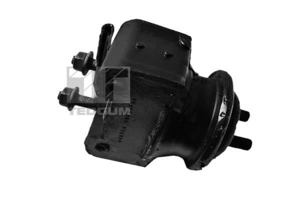 Variklio montavimas TEDGUM 00395114