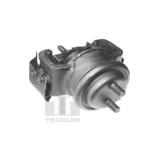 Variklio montavimas TEDGUM 00395115